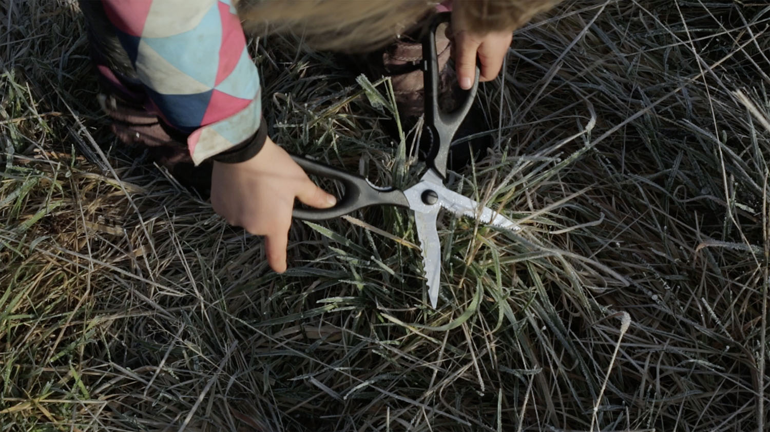If play is neither inside nor outside where is it?, video still, child cutting grass with scissors